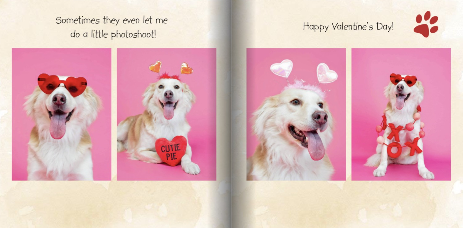 Pets book full spread